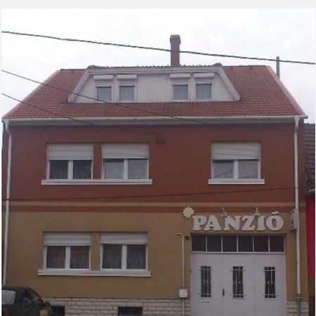 Napsugar Panzio Hotel Vác Екстериор снимка